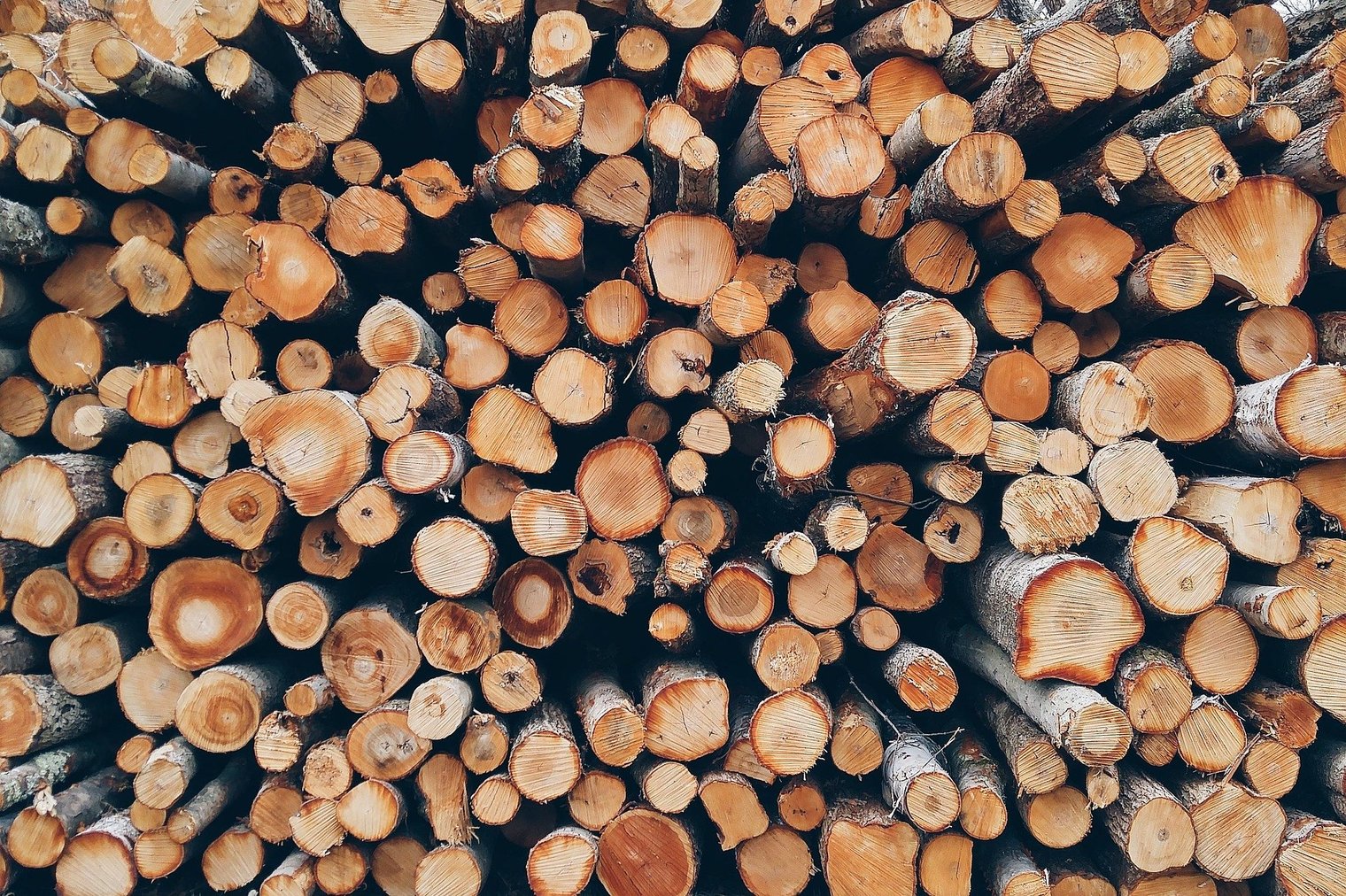 Grant for Bioeconomy projects: May 4th submission deadline