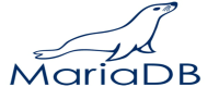 MariaDB netti